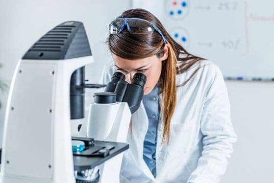 lab-service-2